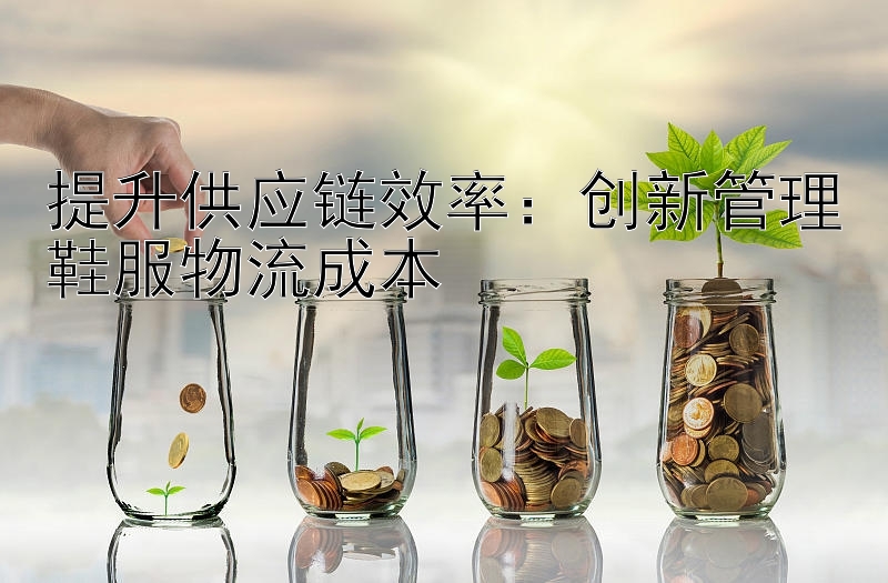 提升供应链效率：创新管理鞋服物流成本